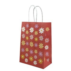 BOLSAS DE PAPEL MARGARITAS CORAL 12 UNIDADES