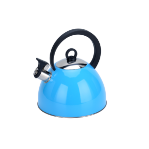 CALDERA ACERO INOXIDABLE CELESTE KASSEL - 3 LTS