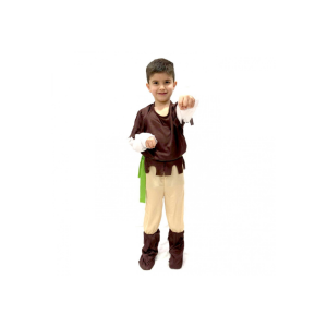 DISFRAZ ROBIN HOOD L
